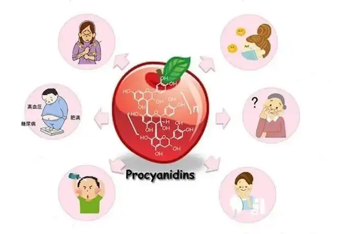 Apple Polyphenol Extract.jpg